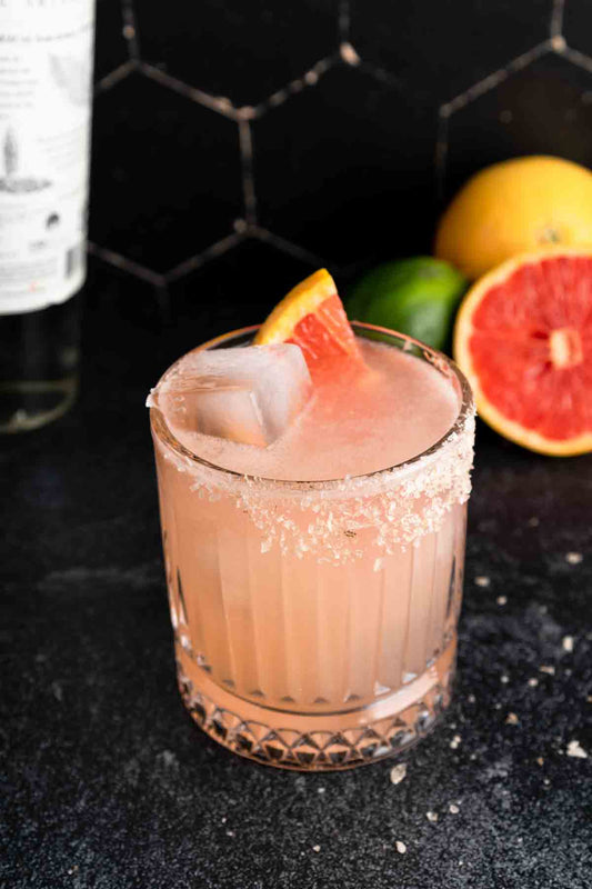 Paloma